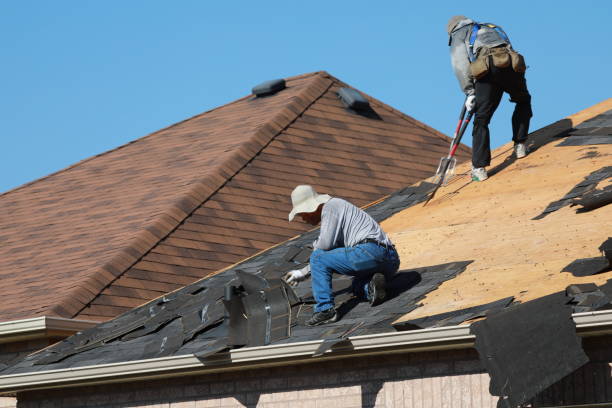 Best Metal Roofing Installation  in Fruitridge Pocket, CA