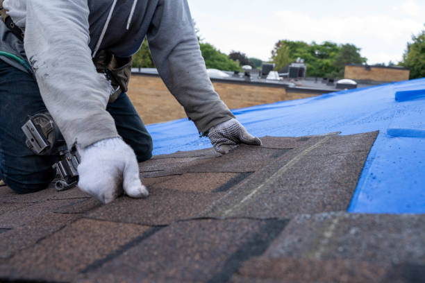 Best Commercial Roofing Services  in Fruitridge Pocket, CA